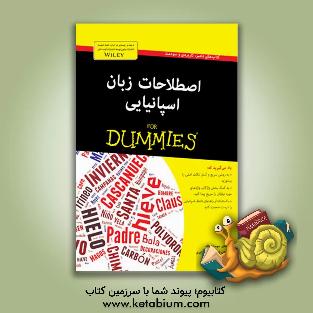 کتاب اصطلاحات زبان اسپانیایی for dummies |اثر سوسانا والد