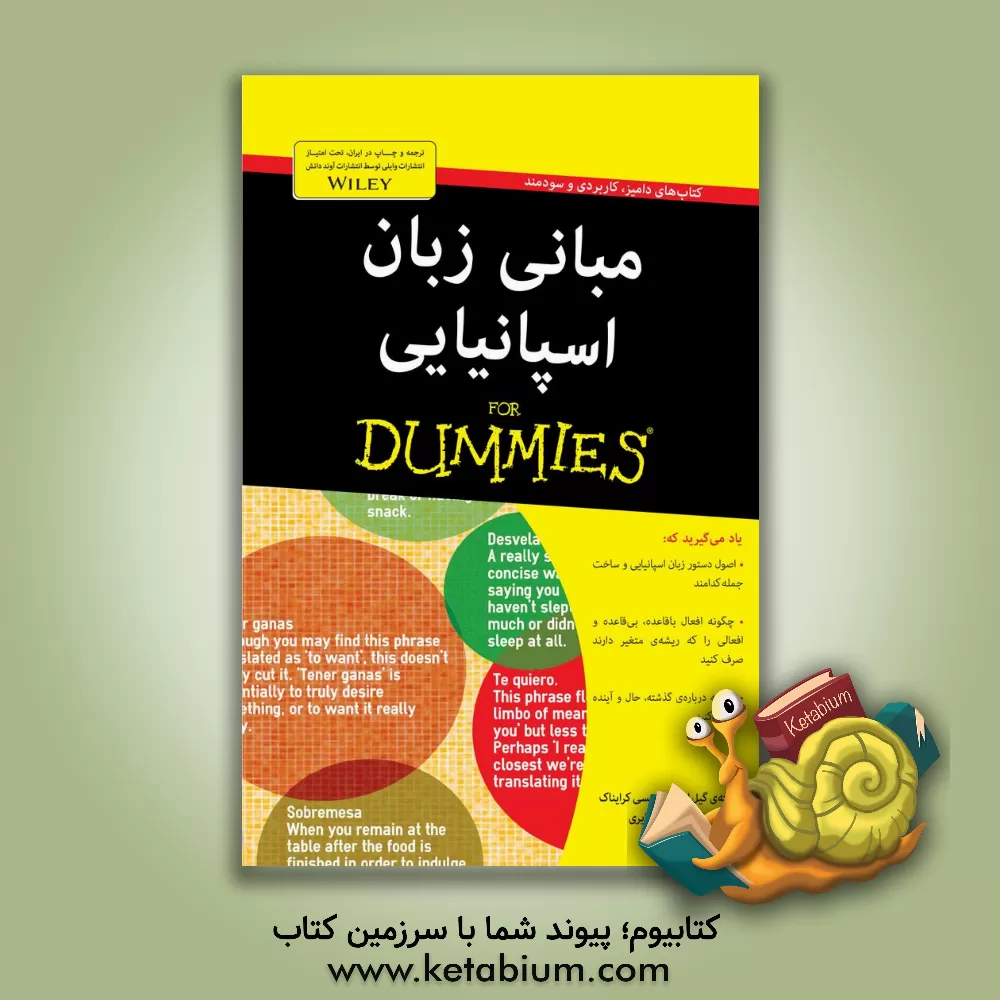 کتاب مبانی زبان اسپانیایی for dummies |اثر گیل استاین