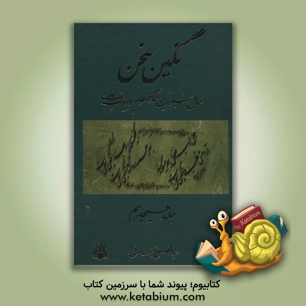 کتاب نگین سخن: شامل شیواترین آثار منظوم ادبیات پارسی اثر عبدالرفیع حقیقت