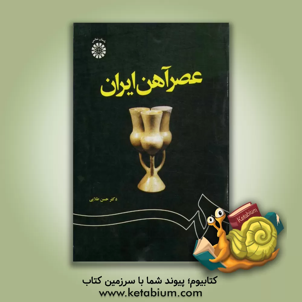 کتاب عصر آهن ایران اثر حسن طلایی