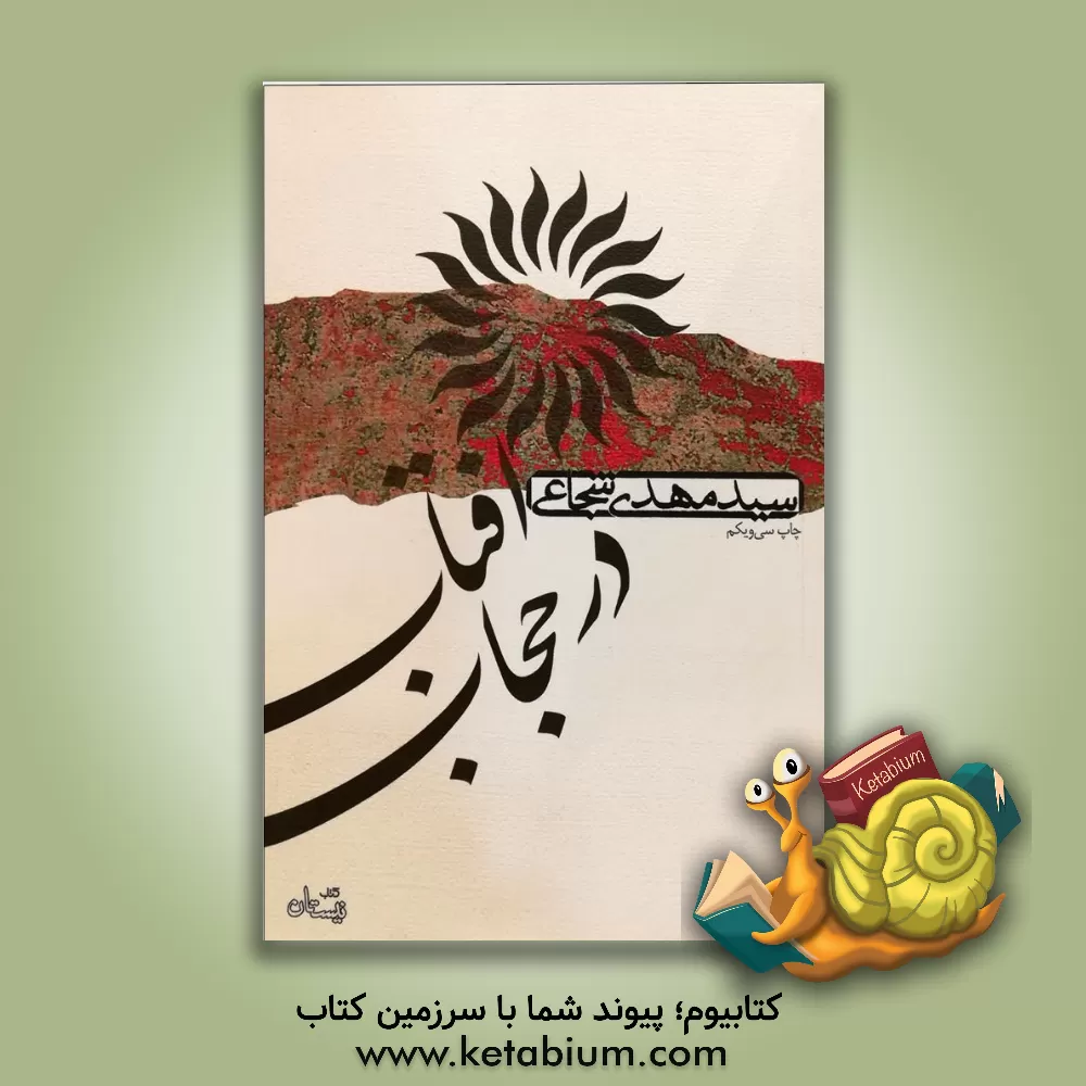 کتاب آفتاب در حجاب |اثر سیدمهدی شجاعی