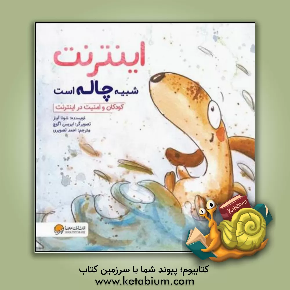 کتاب اینترنت شبیه چاله است: کودکان و امنیت در اینترنت اثر شونا اینس