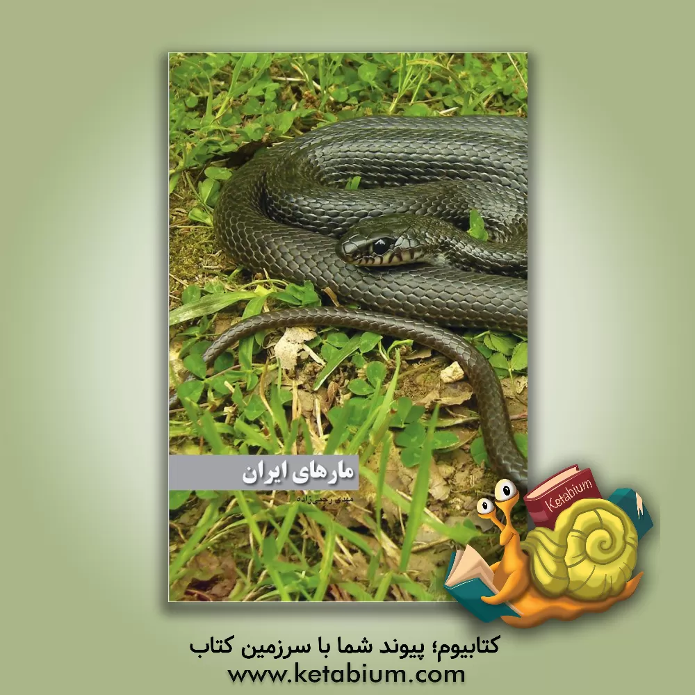 کتاب مارهای ایران اثر مهدی رجبی‌زاده