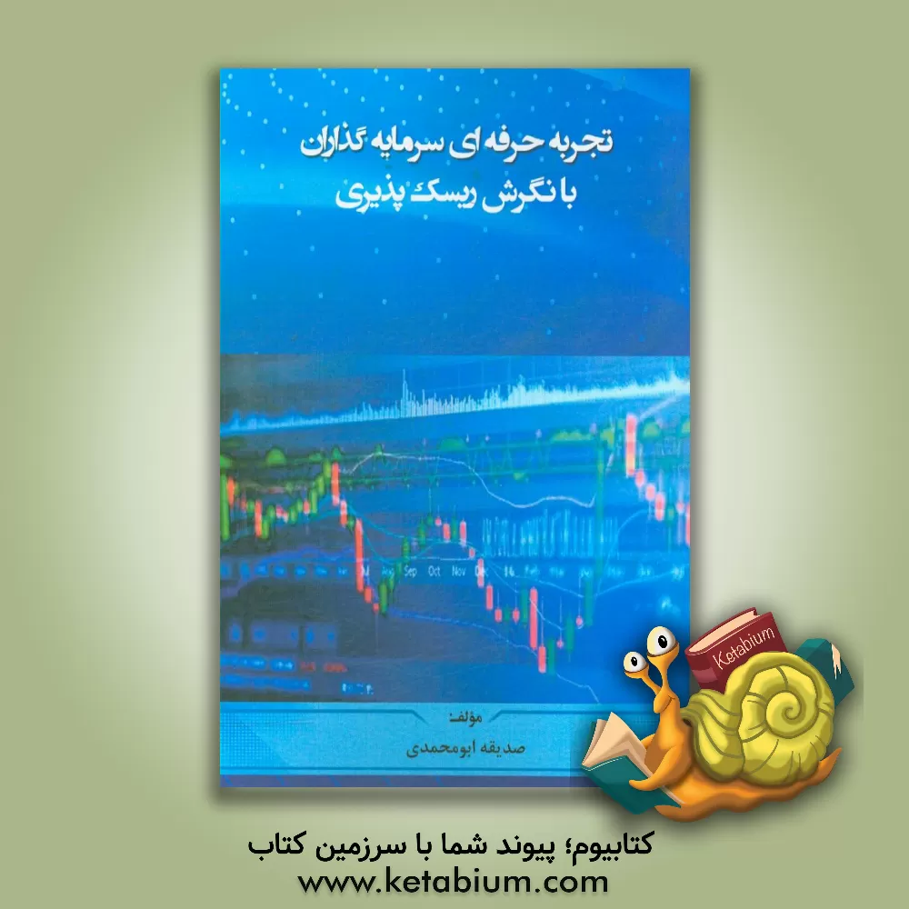 کتاب تجربه حرفه ای سرمایه گذاران با نگرش ریسک پذیری اثر صدیقه ابومحمدی