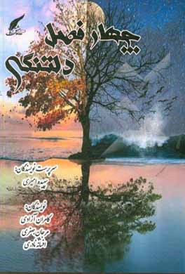 کتاب چهار فصل دلتنگی اثر مرجان جعفری