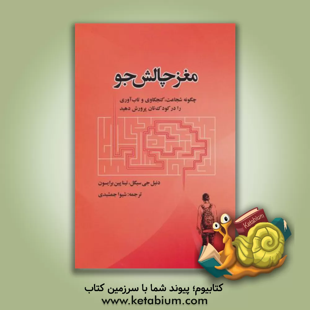 کتاب مغز چالش‌جو: چگونه شجاعت و کنجکاوی و تاب‌آوری را در کودک‌تان پرورش دهید اثر تیناپین برایسن