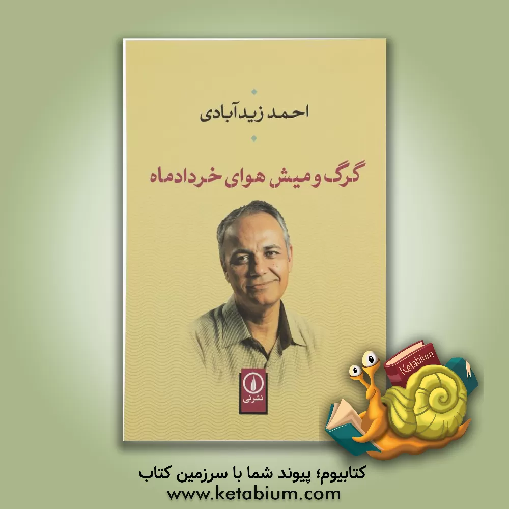 کتاب گرگ و میش هوای خردادماه |اثر احمد زیدآبادی