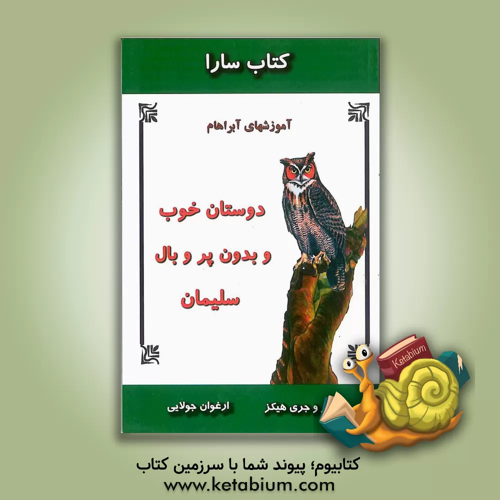 کتاب کتاب سارا: دوستان خوب و بدون پر و بال سلیمان اثر استر هیکس