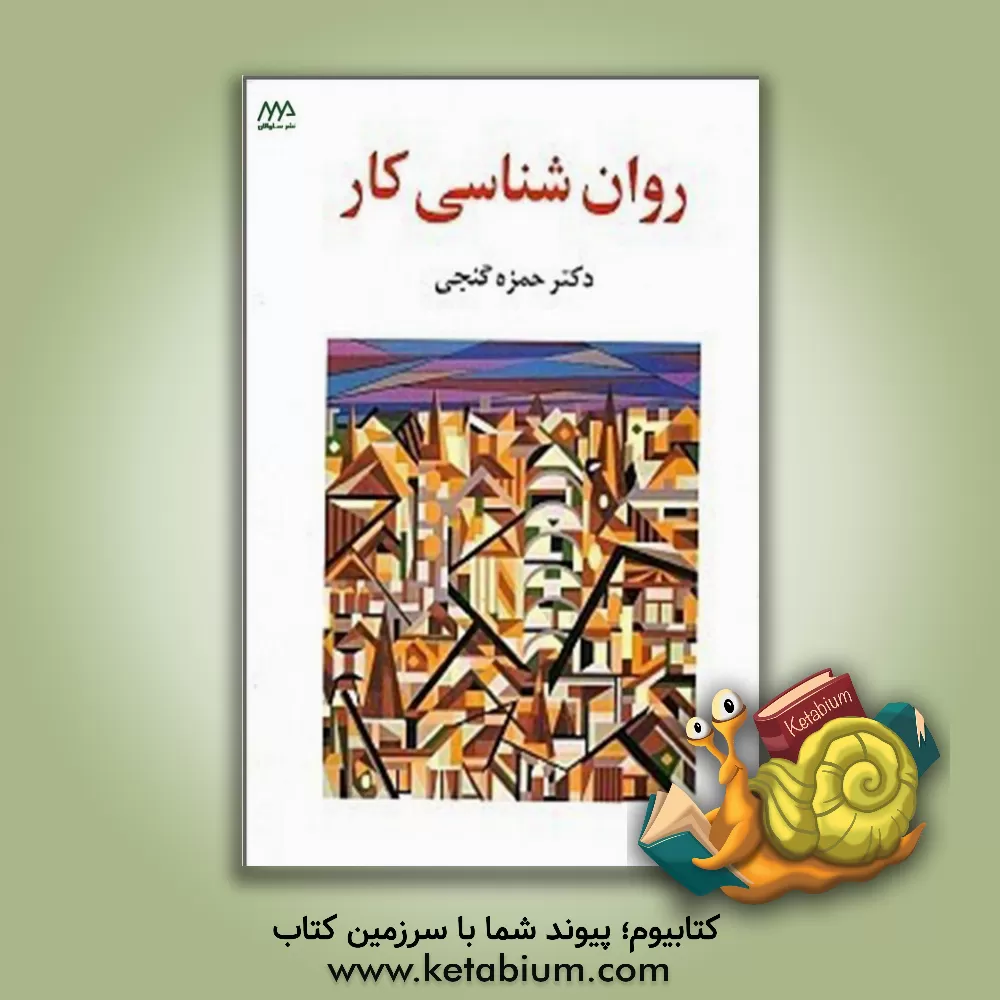 کتاب روان شناسی کار |اثر حمزه گنجی