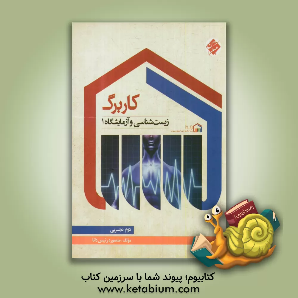 کتاب کاربرگ ریاضی ششم ابتدایی اثر سمیه محمدطالبی