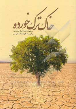 کتاب خاک ترک خورده اثر هوشنگ انیس‌حسینی