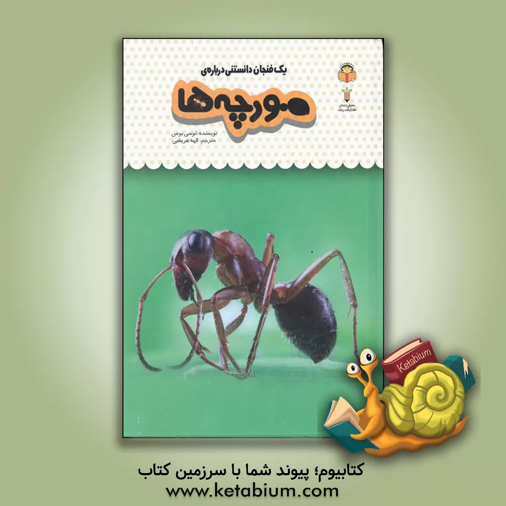 کتاب یک فنجان دانستنی درباره‌ی مورچه‌ها اثر لوسی بومن