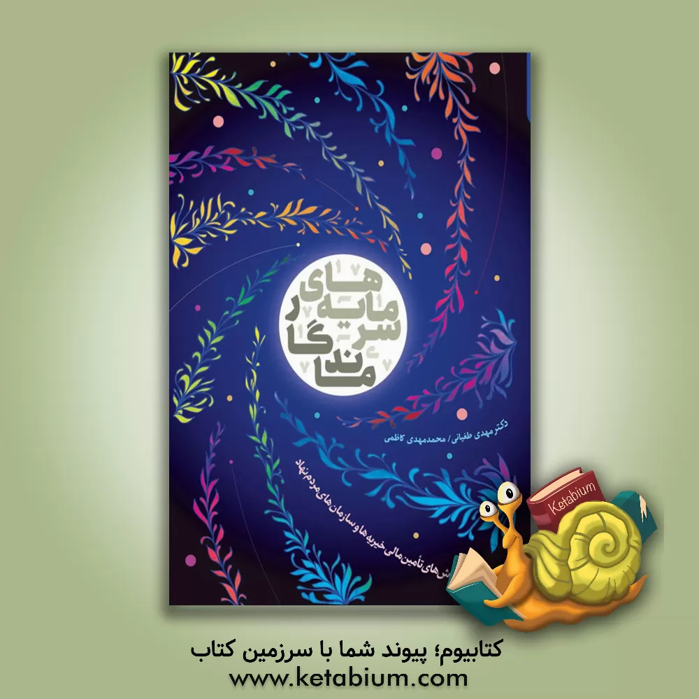 کتاب سرمایه‌های ماندگار: روش‌های تامین مالی خیریه‌ها و سازمان‌های مردم‌نهاد اثر مهدی طغیانی