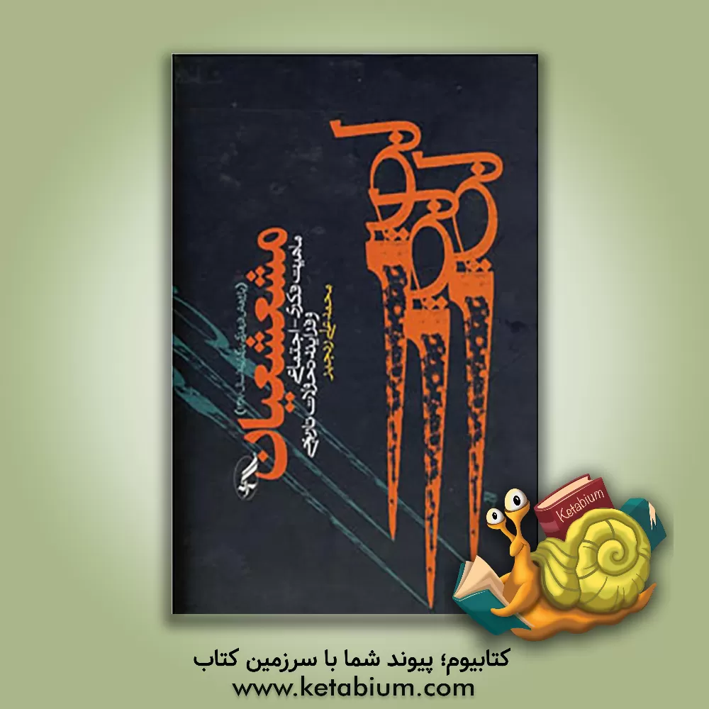 کتاب مشعشعیان: ماهیت فکری - اجتماعی و فرایند تحولات تاریخی اثر محمدعلی رنجبر