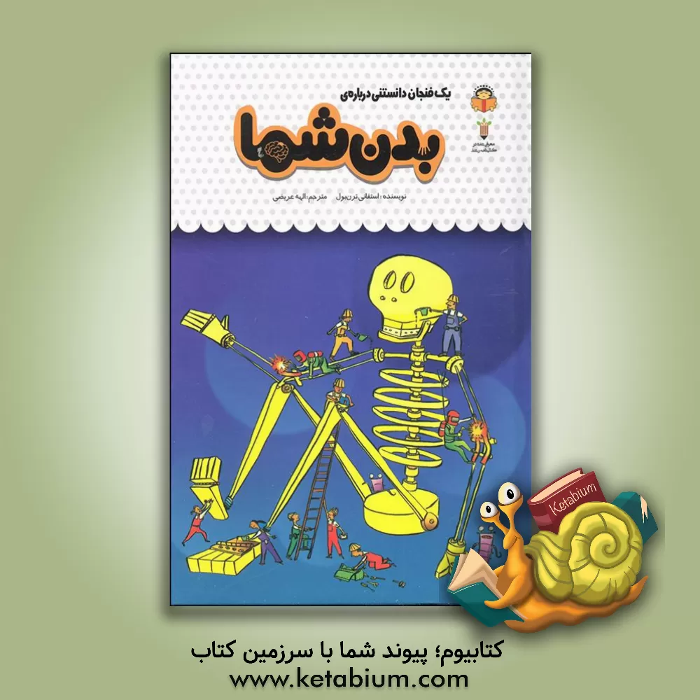 کتاب یک فنجان دانستنی درباره‌ی بدن شما اثر استفانی ترنبول