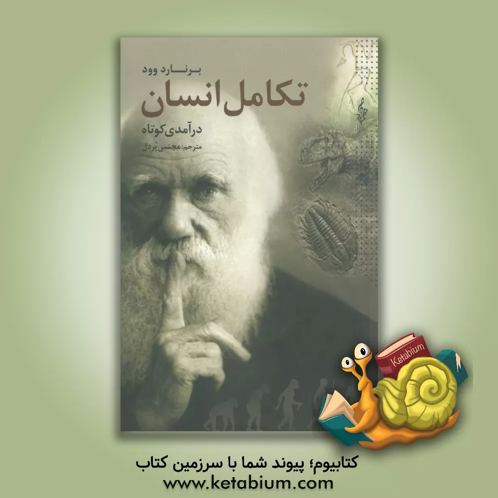 کتاب درآمدی کوتاه بر تکامل انسان اثر برنارد وود