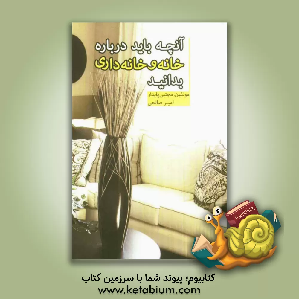 کتاب آنچه باید در مورد خانه و خانه‌داری بدانید اثر امیر صالحی‌نجف‌آبادی