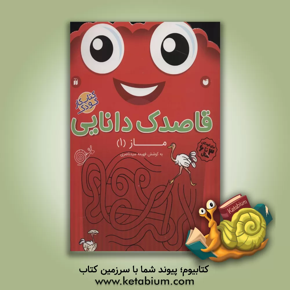 کتاب قاصدک دانایی: ماز (1) تقویت استدلال و قدرت حل مسئله اثر فهیمه سیدناصری