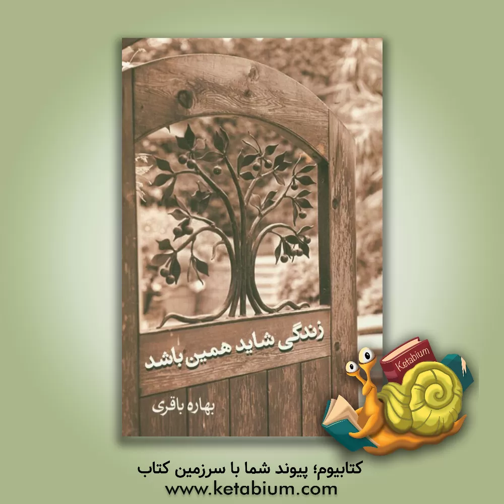 کتاب زندگی شاید همین باشد اثر بهاره باقری