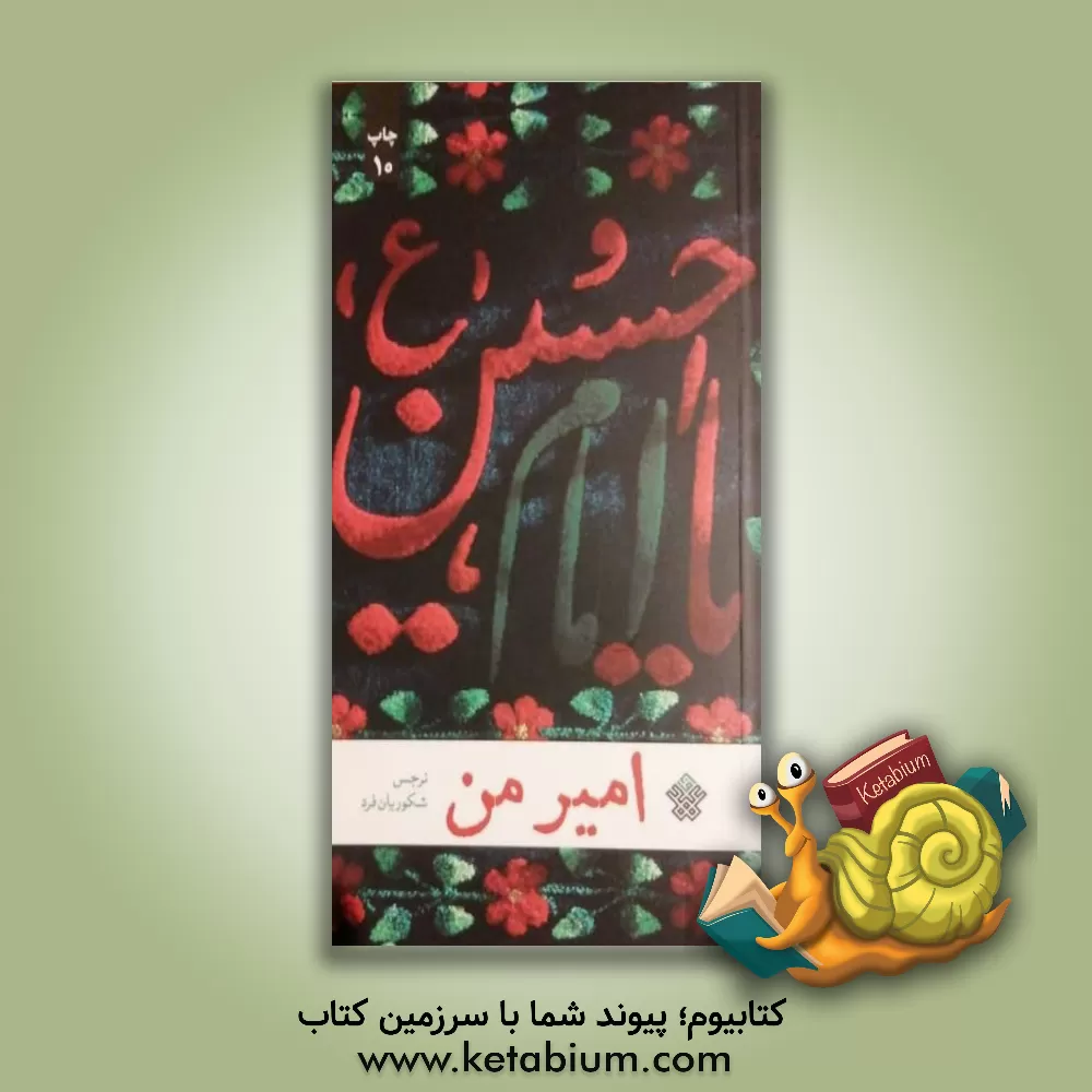 کتاب امیر من اثر نرجس شکوریان‌فرد