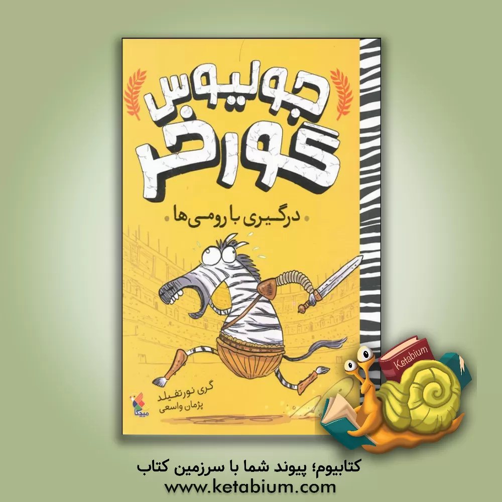 کتاب درگیری با رومی‌ها اثر گری نورثفیلد