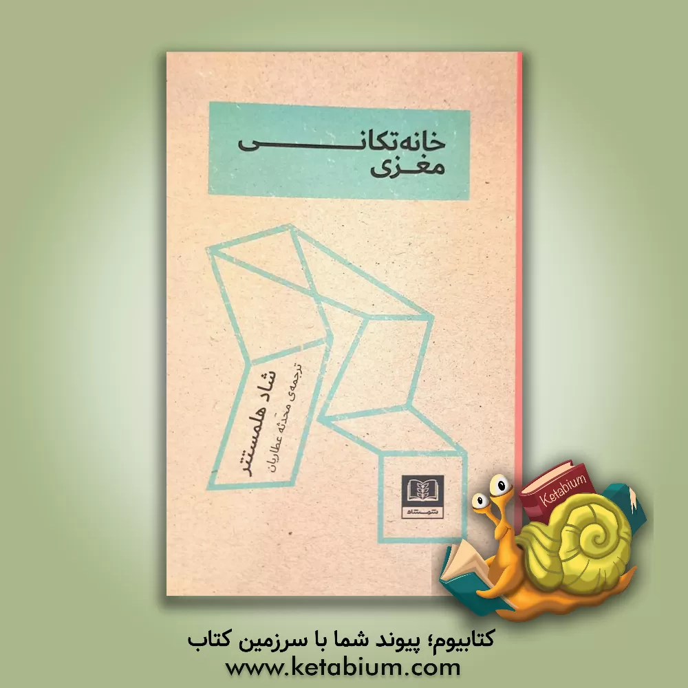 کتاب خانه‌تکانی مغزی اثر شاد هلمستتر