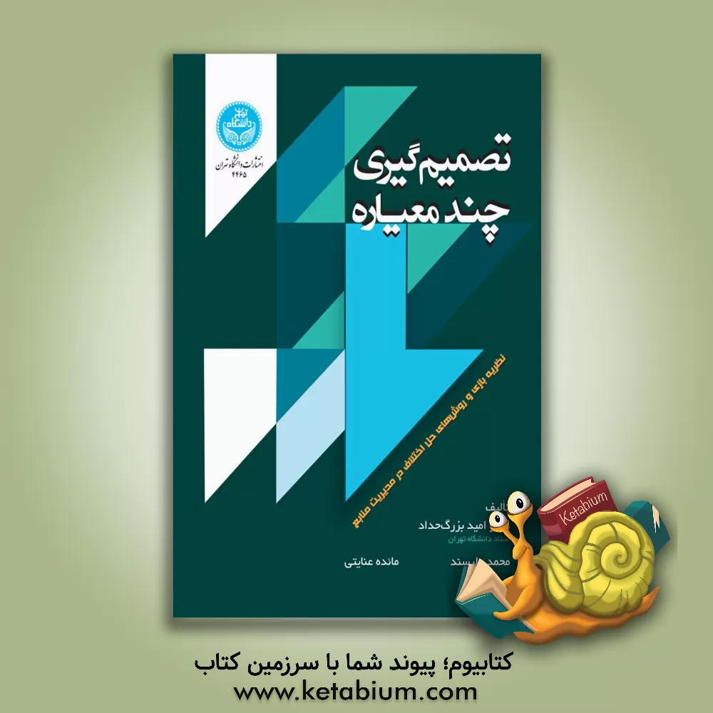 کتاب تصمیم‌گیری چندمعیاره: نظریه‌بازی و روش‌های حل‌ اختلاف در مدیریت منابع اثر امید بزرگ‌حداد
