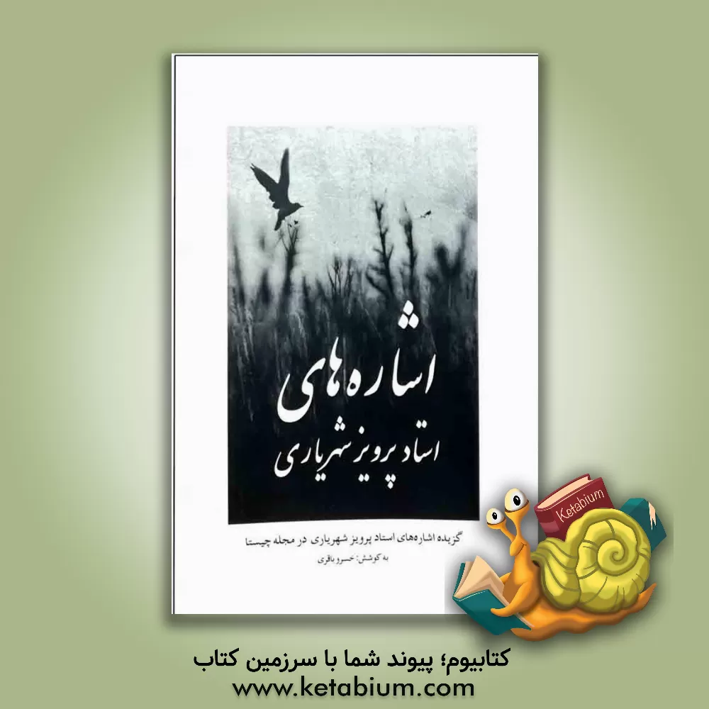 کتاب اشاره‌های استاد پرویز شهریاری: گزیده اشاره‌های استاد پرویز شهریاری در مجله "چیستا" اثر خسرو باقری
