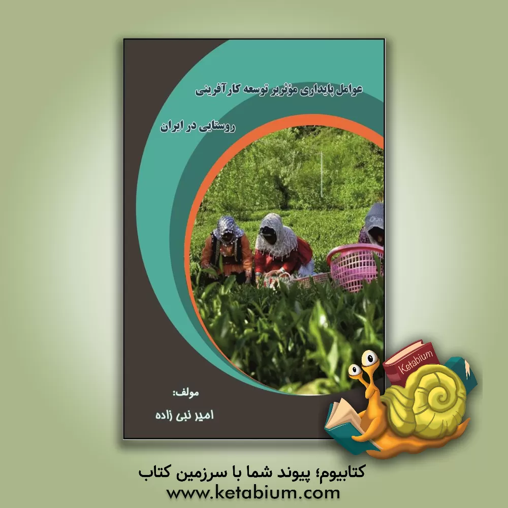 کتاب عوامل پایداری موثر بر توسعه کارآفرینی روستایی در ایران اثر امیر نبی‌زاده