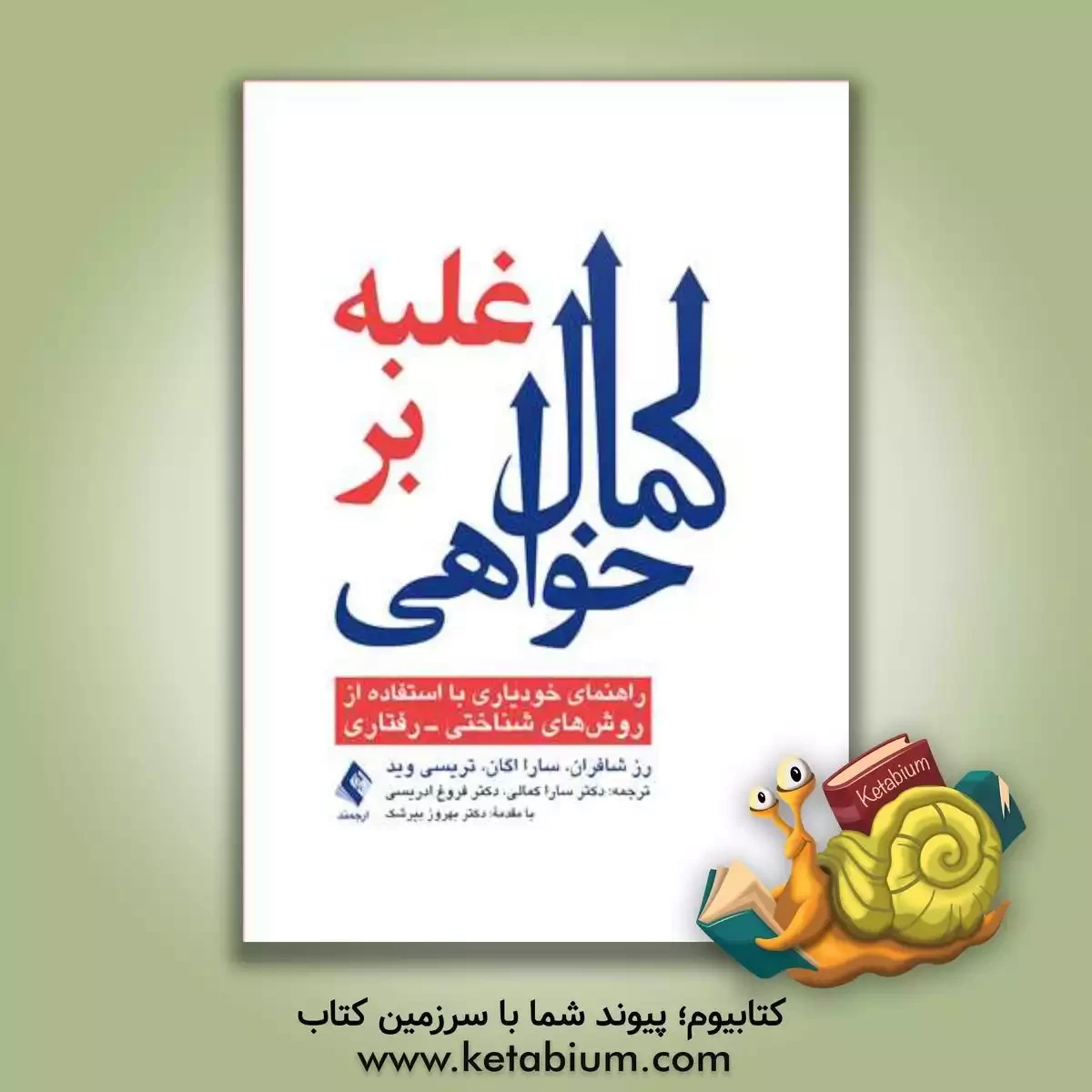 خرید کتاب غلبه بر کمال‌خواهی