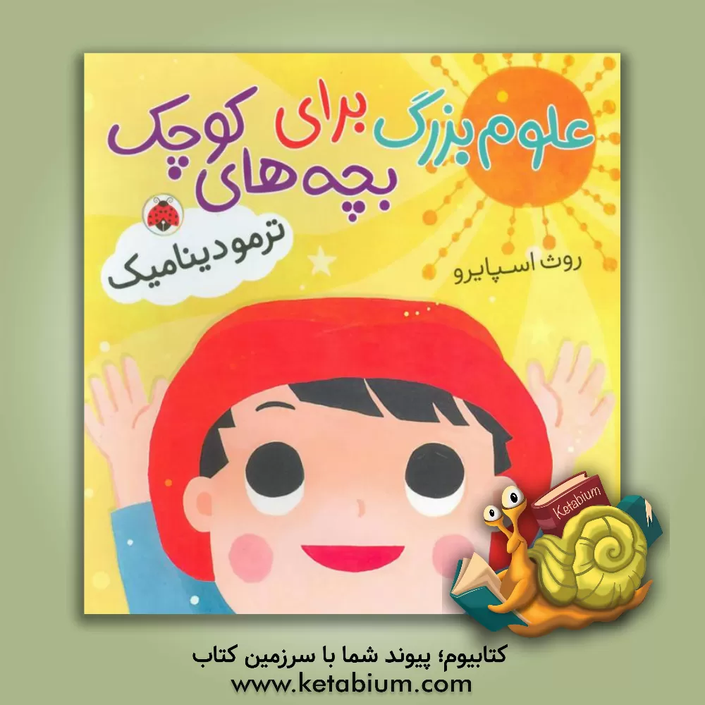 کتاب ترمودینامیک اثر روت اسپایرو