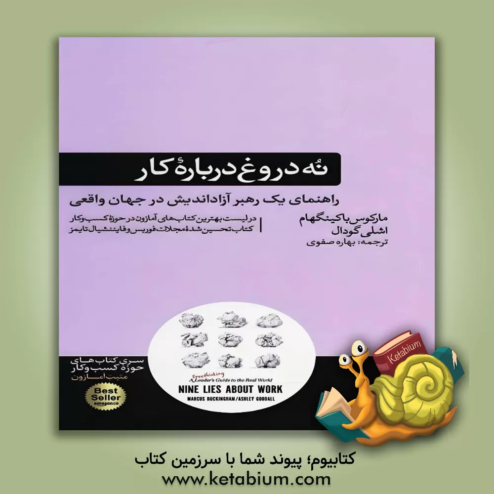 کتاب نه دروغ درباره کار اثر مارکوس باکینگهام