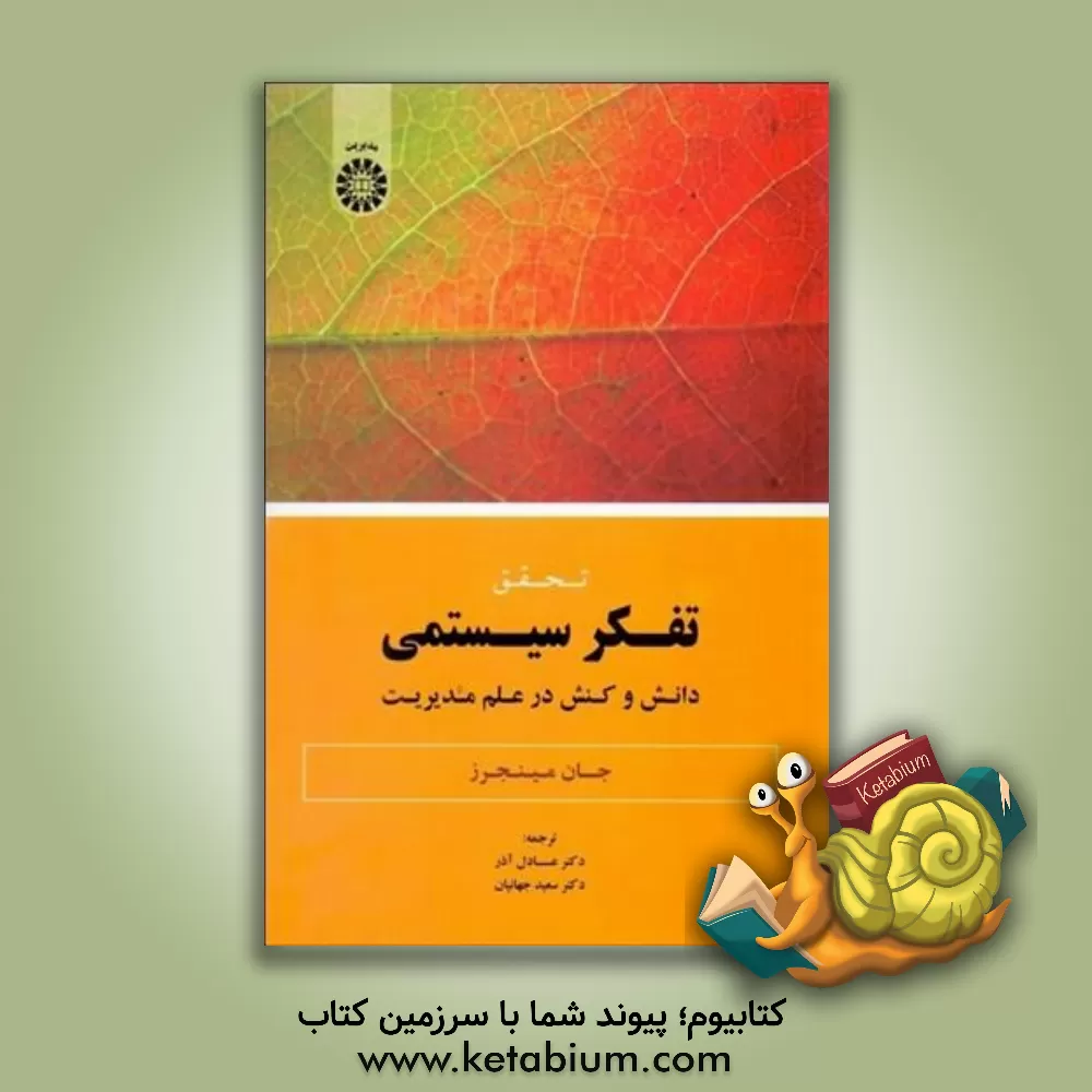 کتاب تحقق تفکر سیستمی: دانش و کنش در علم مدیریت اثر جان مینجرز