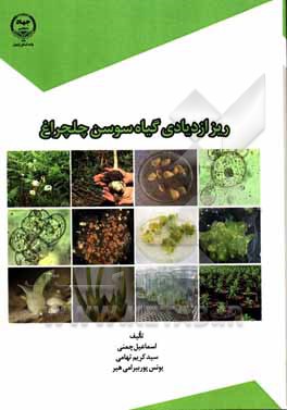 کتاب ریز ازدیادی گیاه سوسن چلچراغ |اثر سیدکریم تهامی