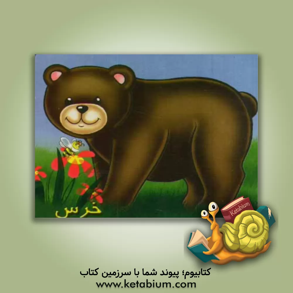 کتاب خرس اثر شهره یوسفی