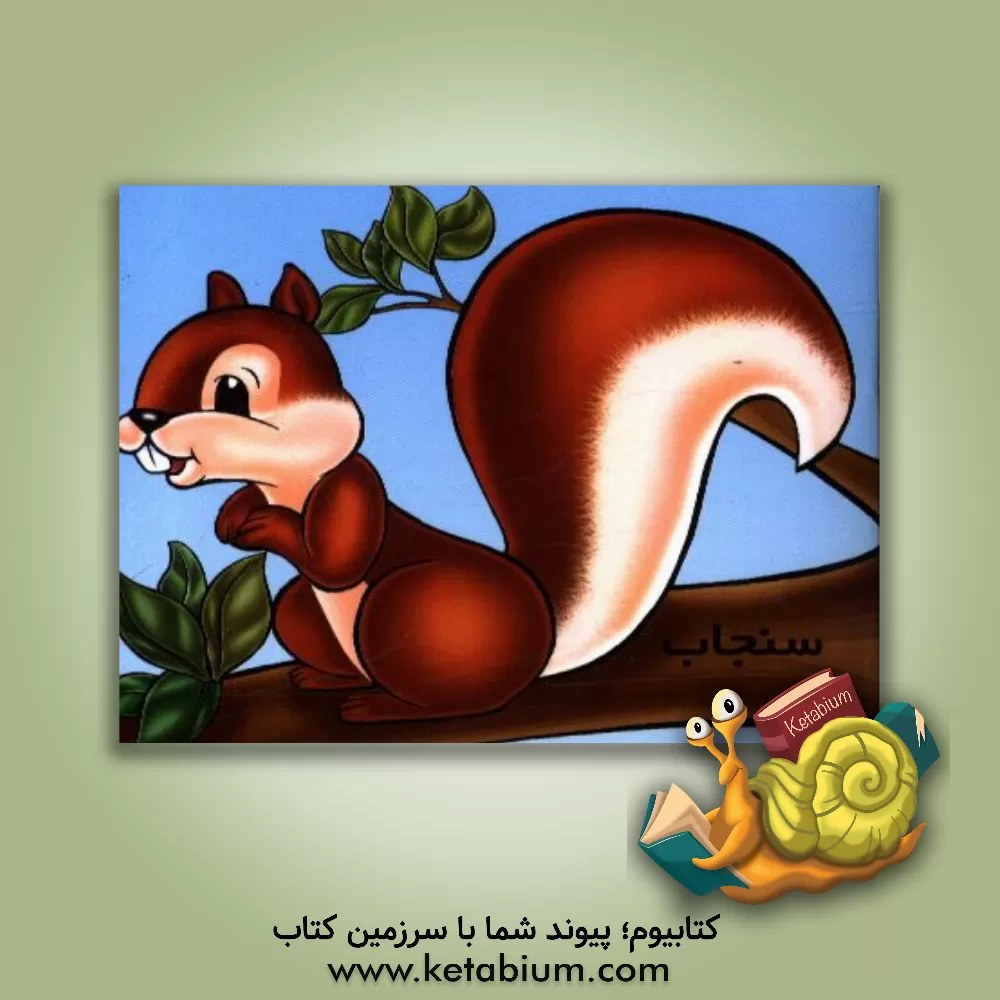 کتاب سنجاب اثر شهره یوسفی