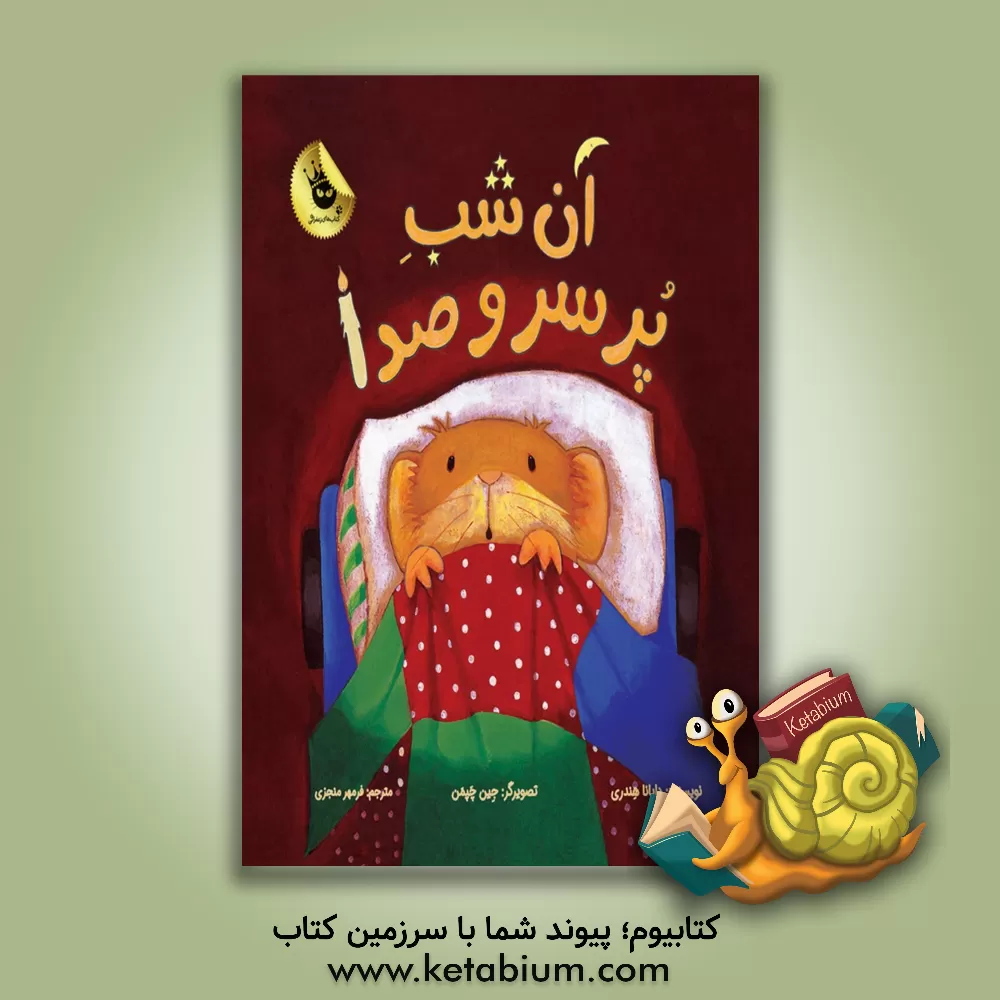 کتاب آن شب پر سر و صدا اثر دایانا هندری