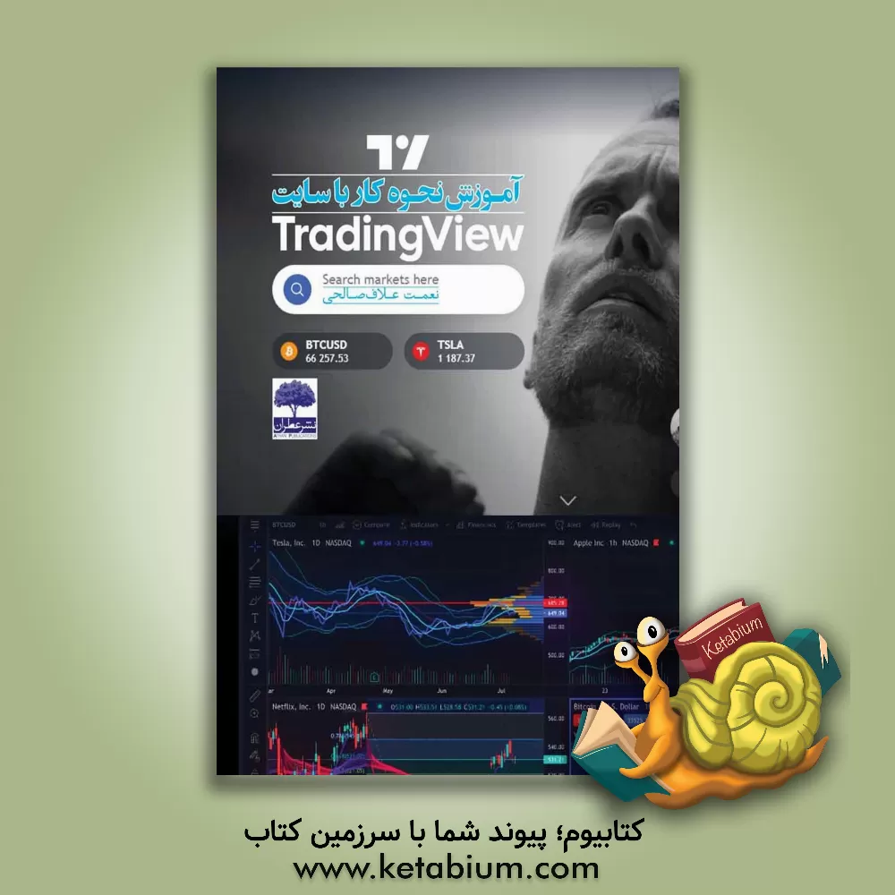 کتاب آموزش نحوه کار با سایت Trading view |اثر نعمت علاف صالحی