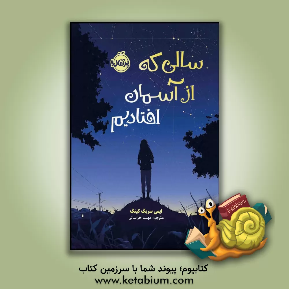 کتاب سالی که از آسمان افتادیم اثر ایمی‌ساریگ کینگ