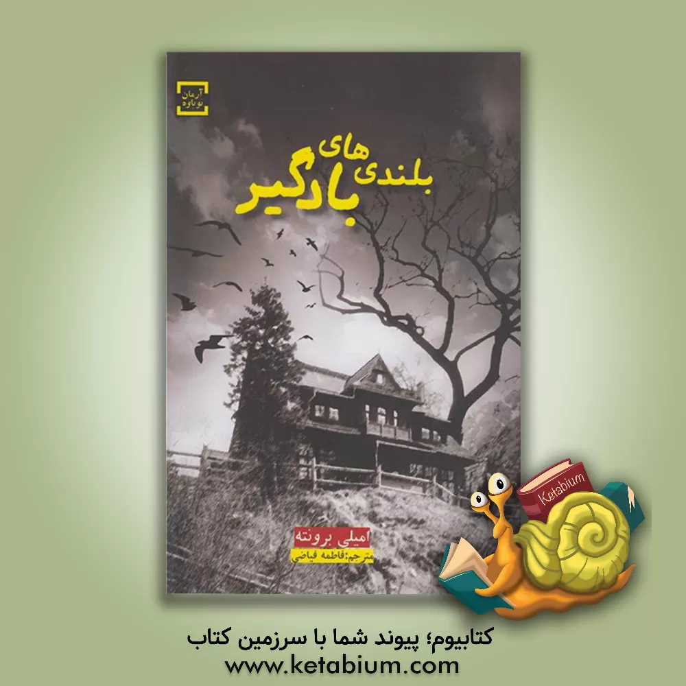 کتاب بلندی‌های بادگیر اثر امیلی‌جین برونته