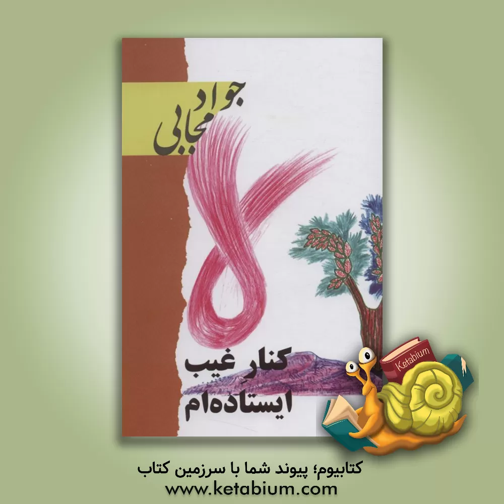 کتاب کنار غیب ایستاده ام: از یک گفتگوی درازآهنگ |اثر جواد مجابی