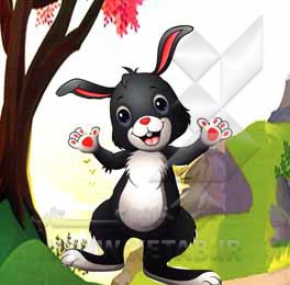 کتاب خرگوش باهوش اثر بتول جعفرزاده