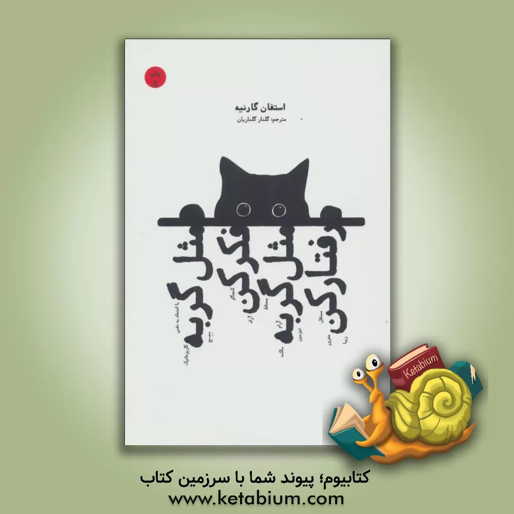 کتاب مثل گربه فکرکن، مثل گربه رفتارکن اثر استفان گارنیه