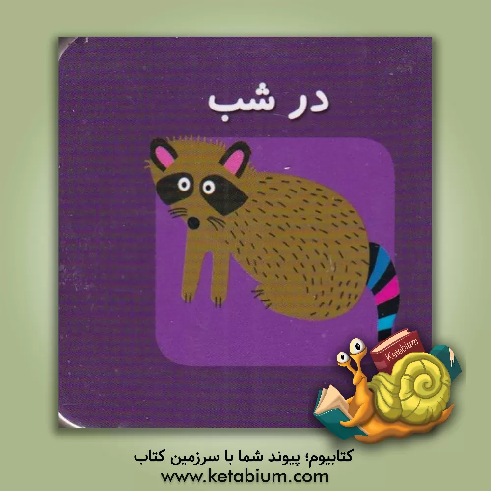 کتاب در شب اثر کارولین گوین