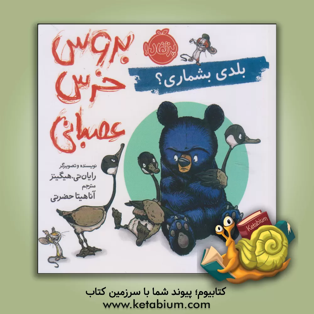 کتاب بروس خرس عصبانی: بلدی بشماری؟ اثر رایان‌تی. هیگینز