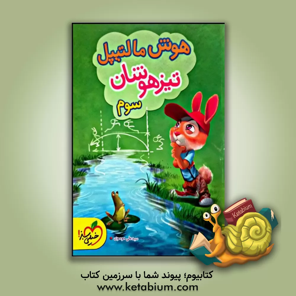 کتاب هوش مالتیپل - سوم دبستان اثر سیدعلی موسوی