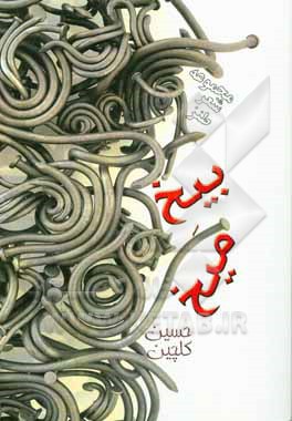 کتاب بیخ میخ اثر حسین گلچین