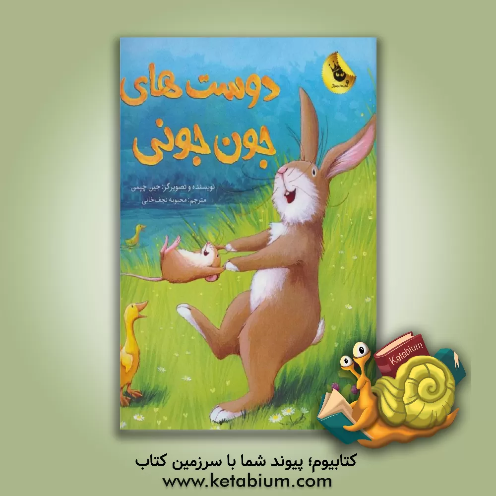 کتاب دوست‌های جون جونی اثر جین چپمن