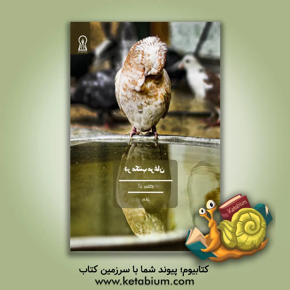 کتاب در مکتب مرغان اثر آذر رستگار