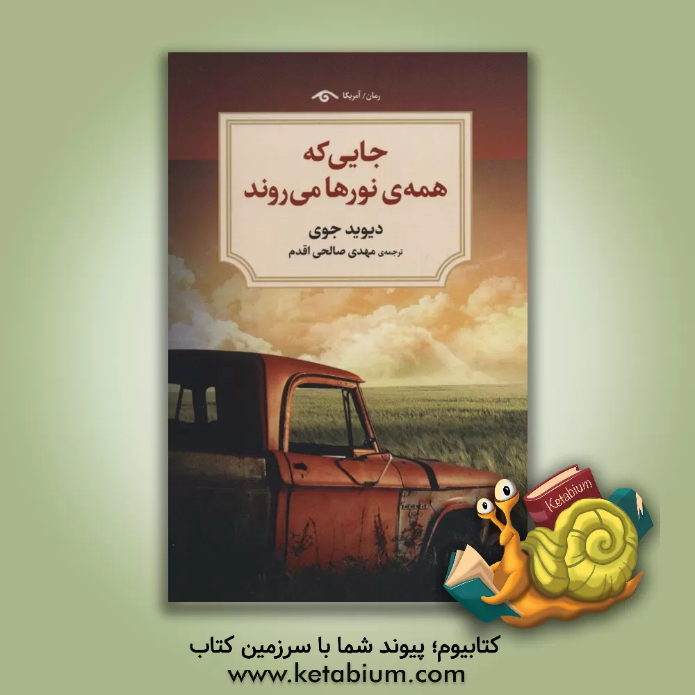 کتاب جایی که همه‌ی نورها می‌روند (رمان) اثر دیوید جوی